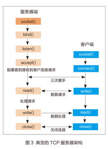 南通大學IPv4與IPv6雙協(xié)議棧Web服務器設計與物聯(lián)網(wǎng)技術(shù)服務集成